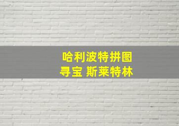 哈利波特拼图寻宝 斯莱特林